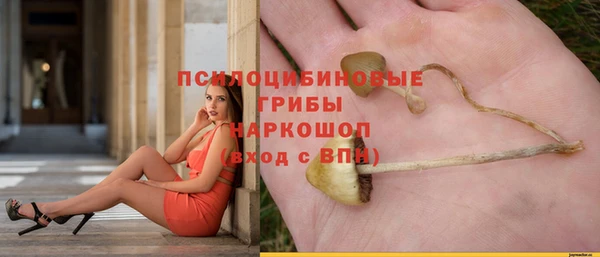 дживик Арсеньев
