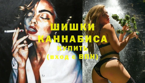 дживик Арсеньев