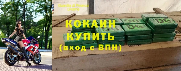 дживик Арсеньев