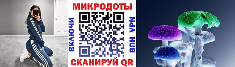 Галлюциногенные грибы GOLDEN TEACHER  дарк нет формула  Шумиха 